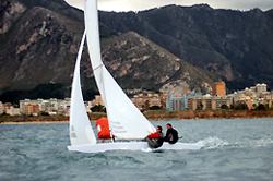 Dali at the finish line