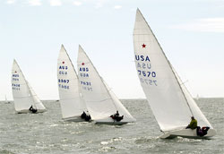 At the start - photo by Jan Walker